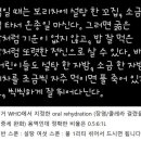 로즈맘산부인과 네이버블로그