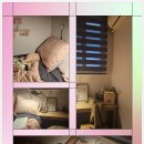 리브가 스테이 이미지