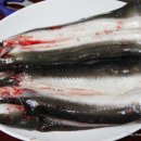 나룻터숯불장어구이 이미지