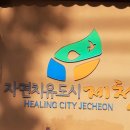 모인여행사 이미지