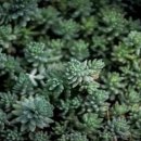 한일로또 이미지