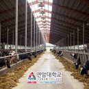 적성축산 이미지