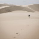 천애 | 천애고아 되기