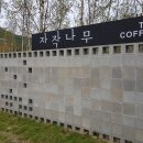 꽃과 식물로 정원가꾸기 | 대전 자작나무커피 후기｜작약·불두화·조팝 함께 피는 시기, 수국 시즌과 다른 정원 분위기