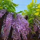 동춘인라인롤러경기장 이미지