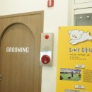 대구애견미용 강아지호텔 모여라솜뭉치 이미지