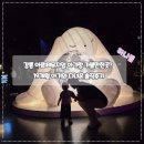 가-19 | 강릉 아르떼뮤지엄 아기랑 가볼만한곳? 19개월 아기와 다녀온 솔직후기