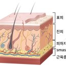 프롬뷰티 - 아산시 매곡한들10길 10 | 프롬뷰티