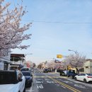 금산천1길 이미지