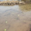 백연농장 이미지