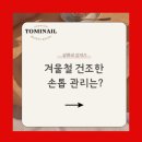 토미네일 - 원주시 봉화서부로 11 | 토미네일