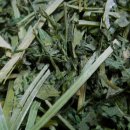 달나라 토끼농장 이미지