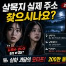당지 | 김혜윤·장다아 '살목지' 200만 눈앞! 예산 살목지 위치 주소부터 소름 돋는 괴담 후기까지