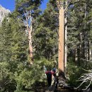 2025.8.29~9.1 Eastern Sierra - Bishop 이미지