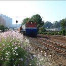 역마슈퍼 이미지