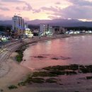 황금나무공인중개사사무소 이미지