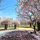 남항근린공원 화장실 이미지