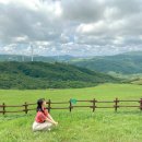 두일목장 이미지