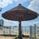 건지공원 | 여수 웅천친수공원 해수욕장 🏖 폐장 이후 물놀이 수영 후기