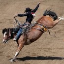 &#34;지상 최대의 야외 쇼&#34; 캘거리 스탬피드 이미지
