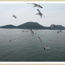 명수선실 이미지