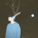 요람 - 양평군 | 요람