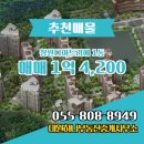 창원부동산중개사무소 | 대원하나부동산중개사무소 창원디아트리에 4층 매매 1억 4,200