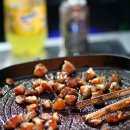 구마이오토캠핑장 이미지