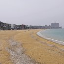 무창포해수욕장 이미지