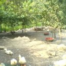 우승농장 이미지