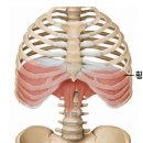 손앤미뷰티스킨