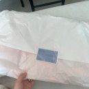 POTE 포테 백팩 추천 애쉬밀크 색상 구매 후기
