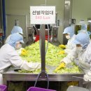 (주)이지푸드시스템 이미지