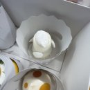 레종졸리