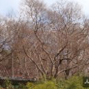 글사랑방 이미지