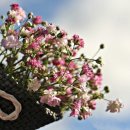 내남초등학교 이미지