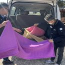 복지세탁 이미지