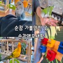 순창 앵무새팜 이미지