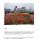 천지항공여행사 이미지