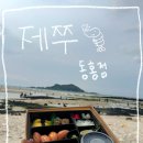 동홍 | 서귀포 도시락 프리미엄 맛집 제쭈 동홍점 후기, 초밥 왕신선