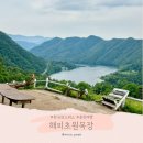 성지목장 | 춘천 해피초원목장 주차장 가는 방법 포토존 꿀팁 정리