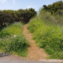 성산1길 이미지