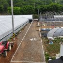 단원농장 이미지