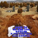 중앙장묘관리공사 네이버블로그