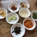 조방낙지 | 속초낙곱새 맛집, 교동 원조부산조방낙지 낙새 솔직후기