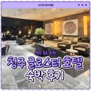 흥덕동물약국 | 청주 숙소 글로스터호텔 스탠다드 더블룸 1박 숙박