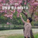 국립서울현충원 유품전시관 | 서울 겹벚꽃 명소 BEST3 보라매공원 국립서울현충원 어린이대공원