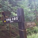 상관편백숲길 이미지