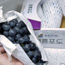 무지개빛농장 이미지