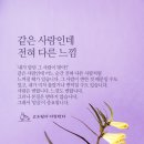 진이어스 이미지